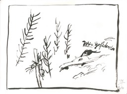 07.wirgefederten