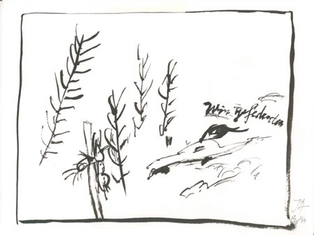 07.wirgefederten