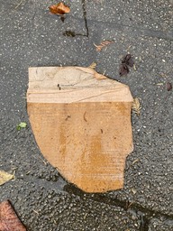 IMG_1726