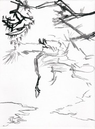 z.t.CanvasDrawing2