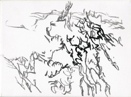 z.t.CanvasDrawing9